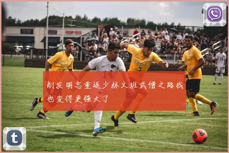 削发明志重返少林文班武僧之路我也变得更强大了